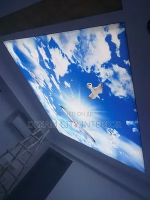 3d Stretch Ceiling Designs