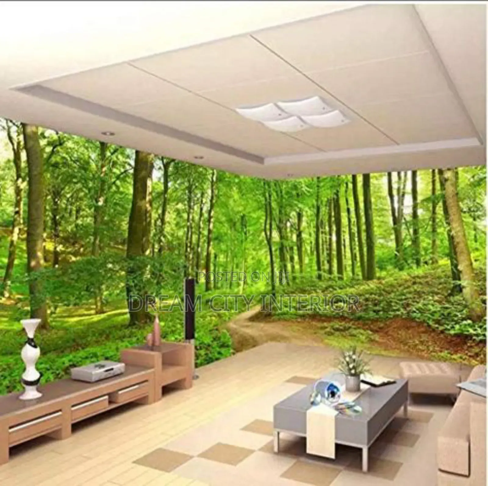 3d Stretch Ceiling Designs