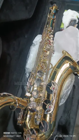 Proel Professional Tenor Saxophone