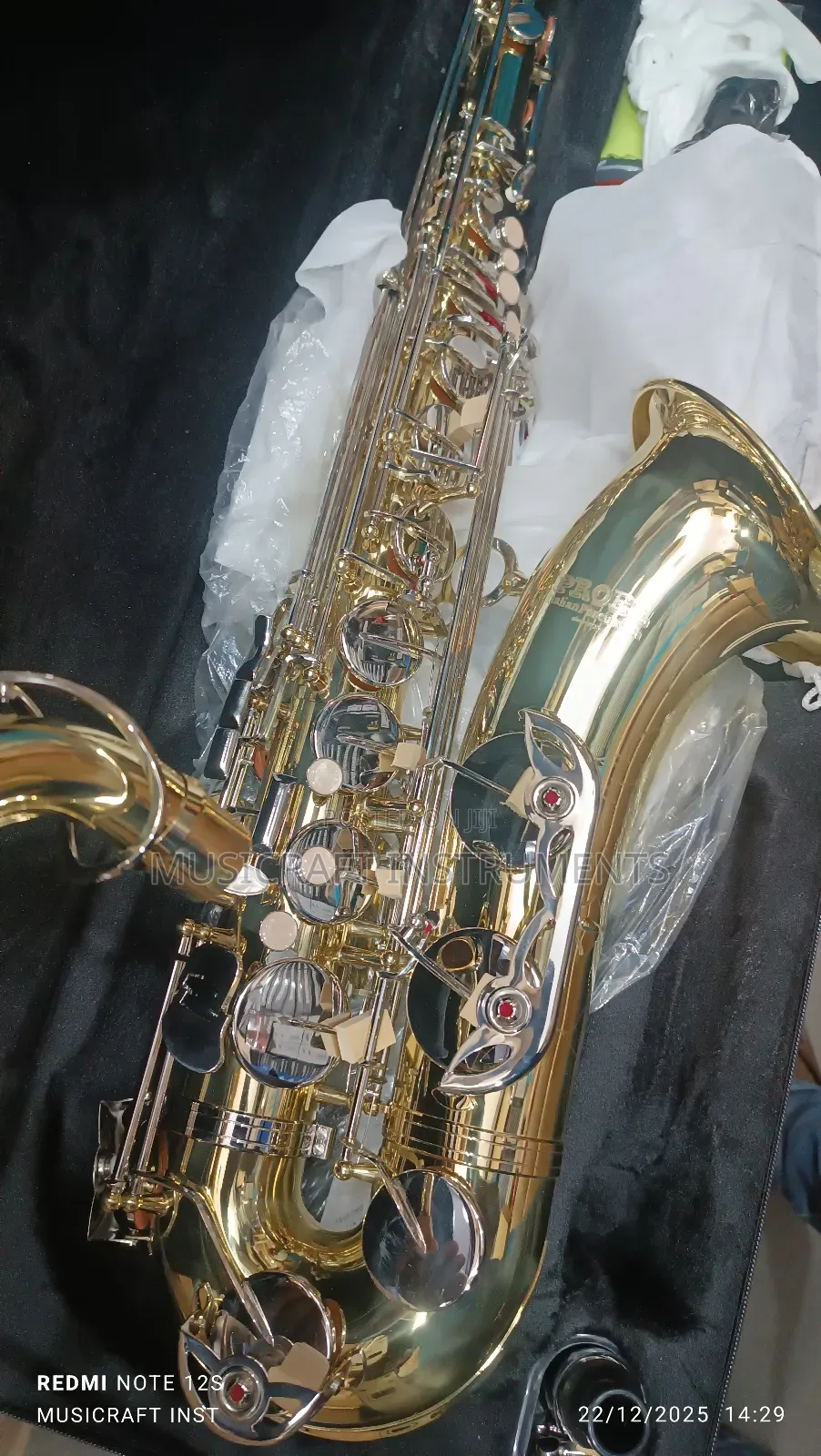Proel Professional Tenor Saxophone
