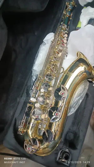 Proel Professional Tenor Saxophone