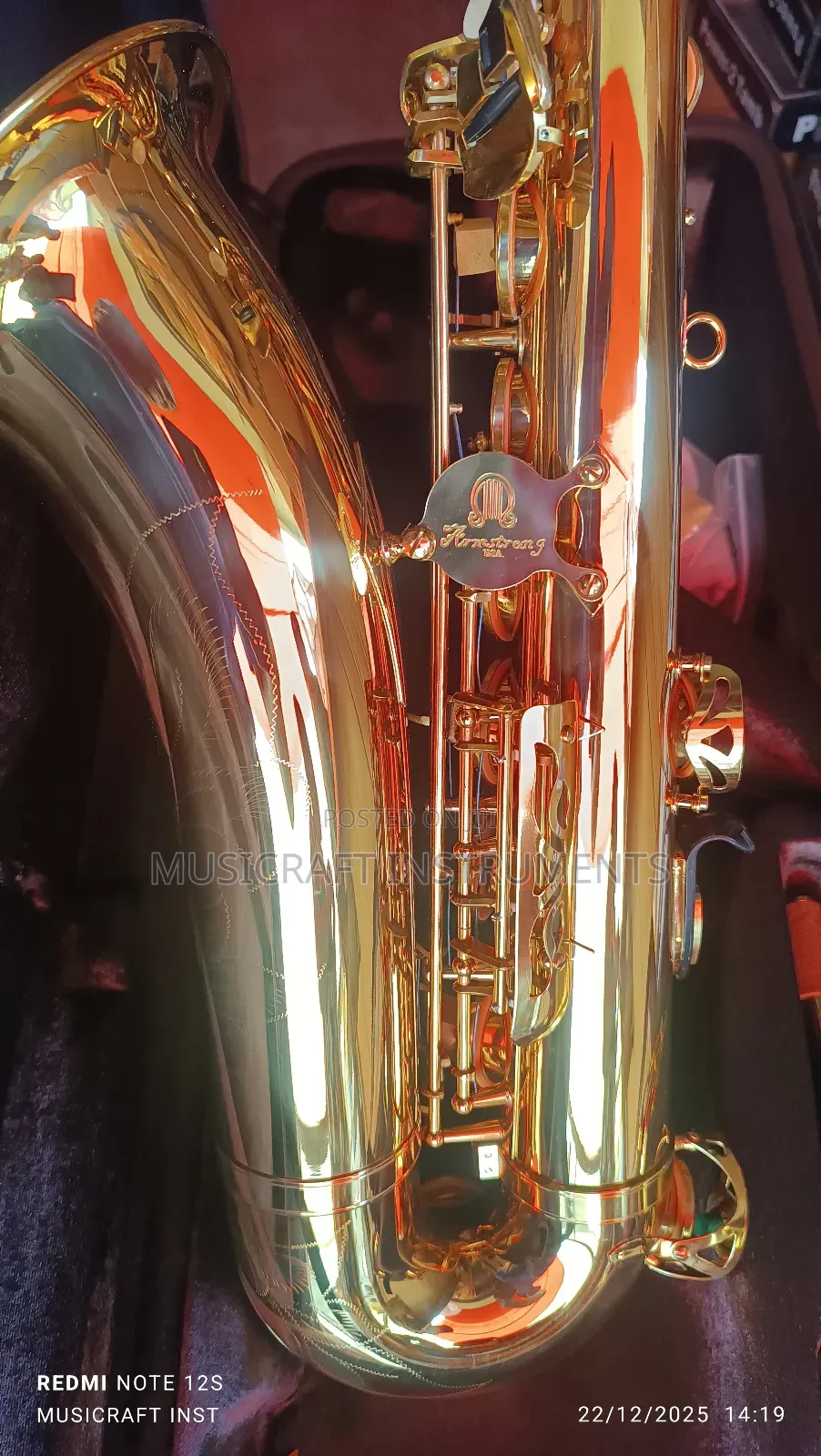 Proel Professional Tenor Saxophone