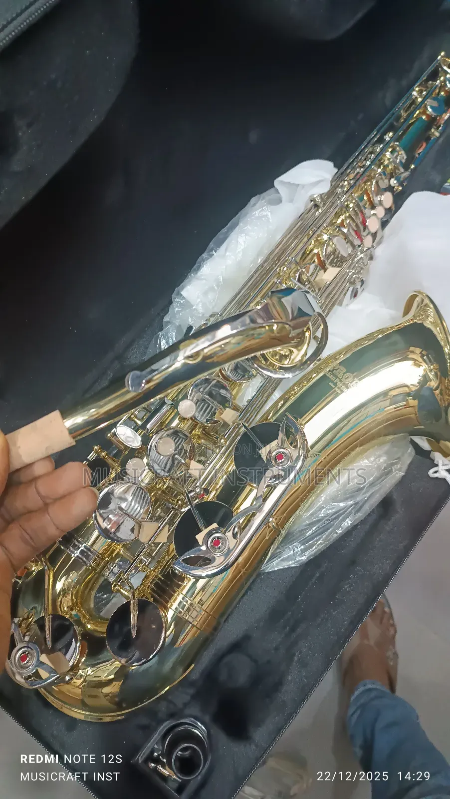 Proel Professional Tenor Saxophone