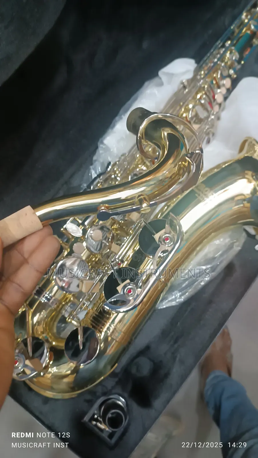 Proel Professional Tenor Saxophone