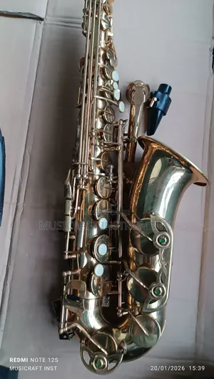 Karah Kas200 Alto Saxophone