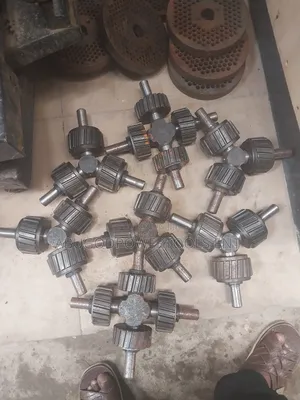 Palletizing Machines Dice and Rolls