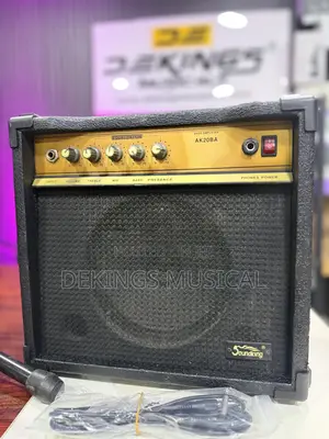 Tokunbo Bass Guitar Combo Amplifier
