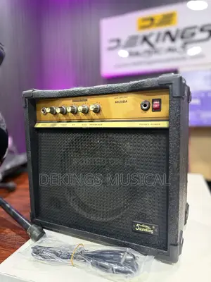 Tokunbo Bass Guitar Combo Amplifier