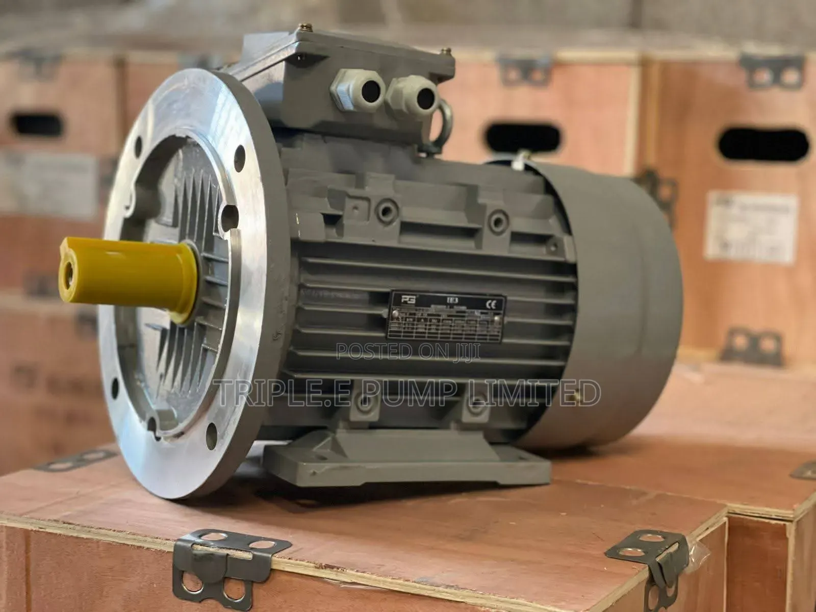 Electric Motor