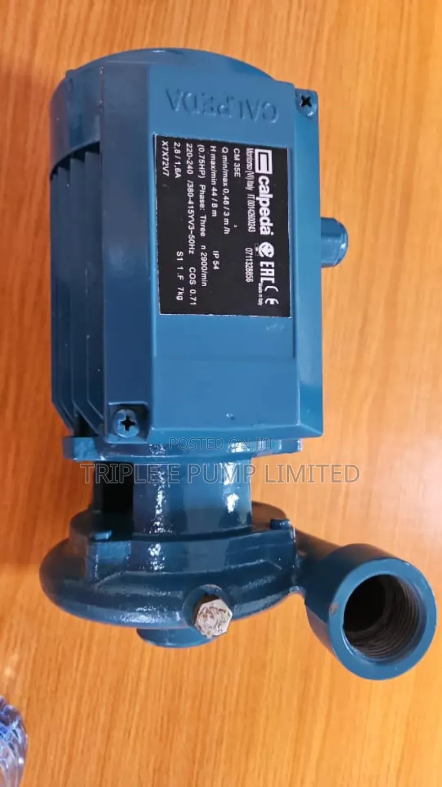 Calpelda Surface Pump