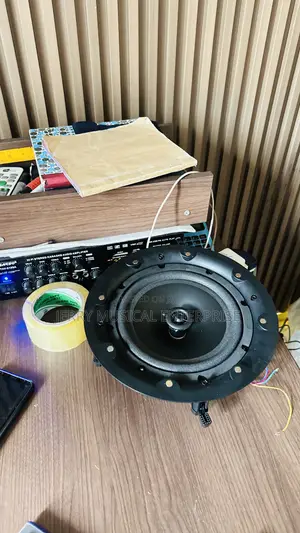 8inches 100watts Passive Ceiling/Pop Speaker