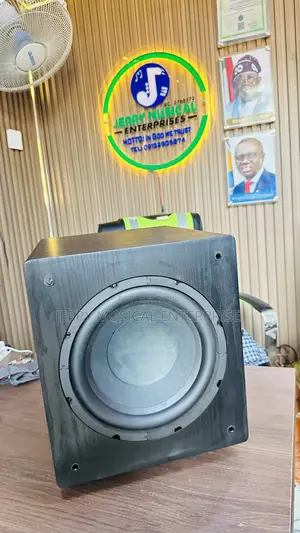 Lucky Tone Passive Subwoofer
