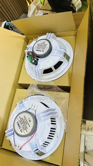 Active /Passive Ceiling Speakers With Woofer