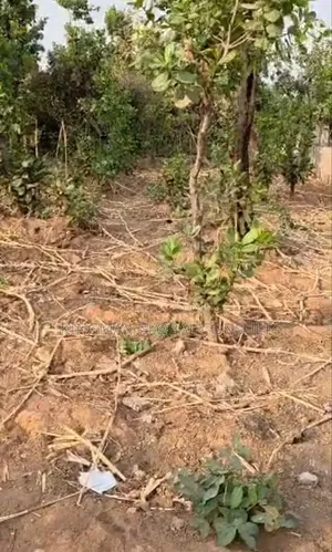 Dape Residential Plot for Distress Sale*: Size 856sqm
