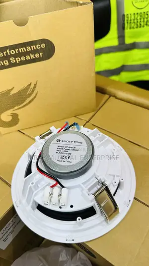 Luckytone Ceiling/Pop Stereo Speakers