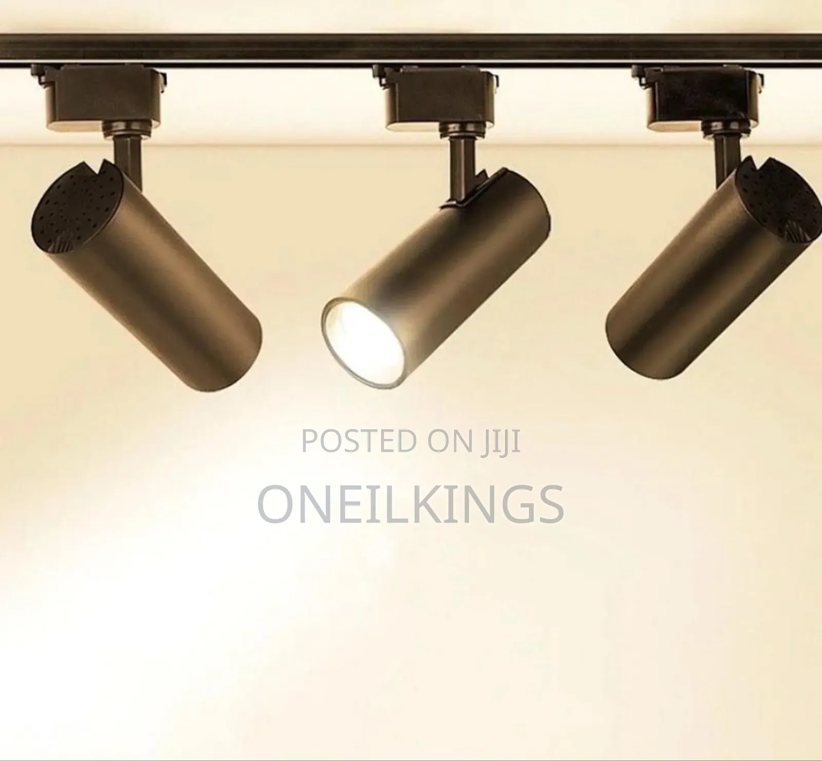 Track Light Double Color