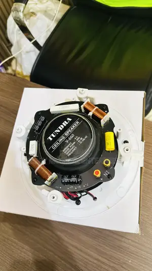 Rimeless 60watts Ceiling Speakers With Woofer