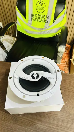 Rimeless 60watts Ceiling Speakers With Woofer