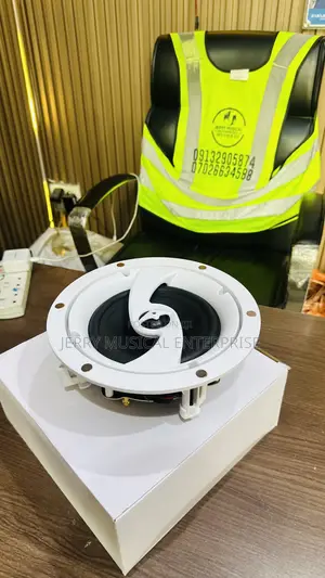 60watts Pop Speaker With Base And Woofer