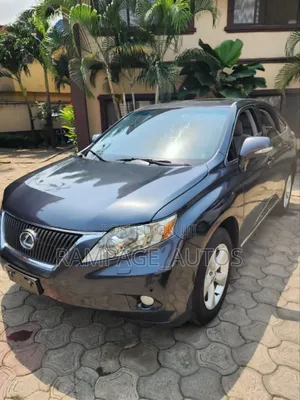 Lexus RX 350 2010 Gray
