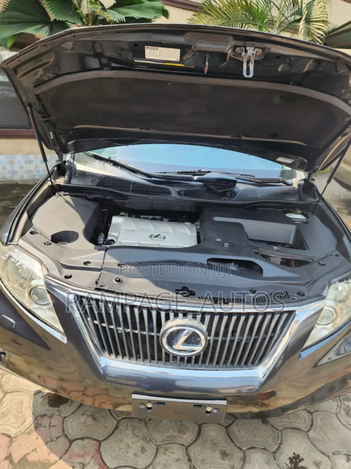 Lexus RX 350 2010 Gray
