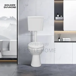 Hanging Wc