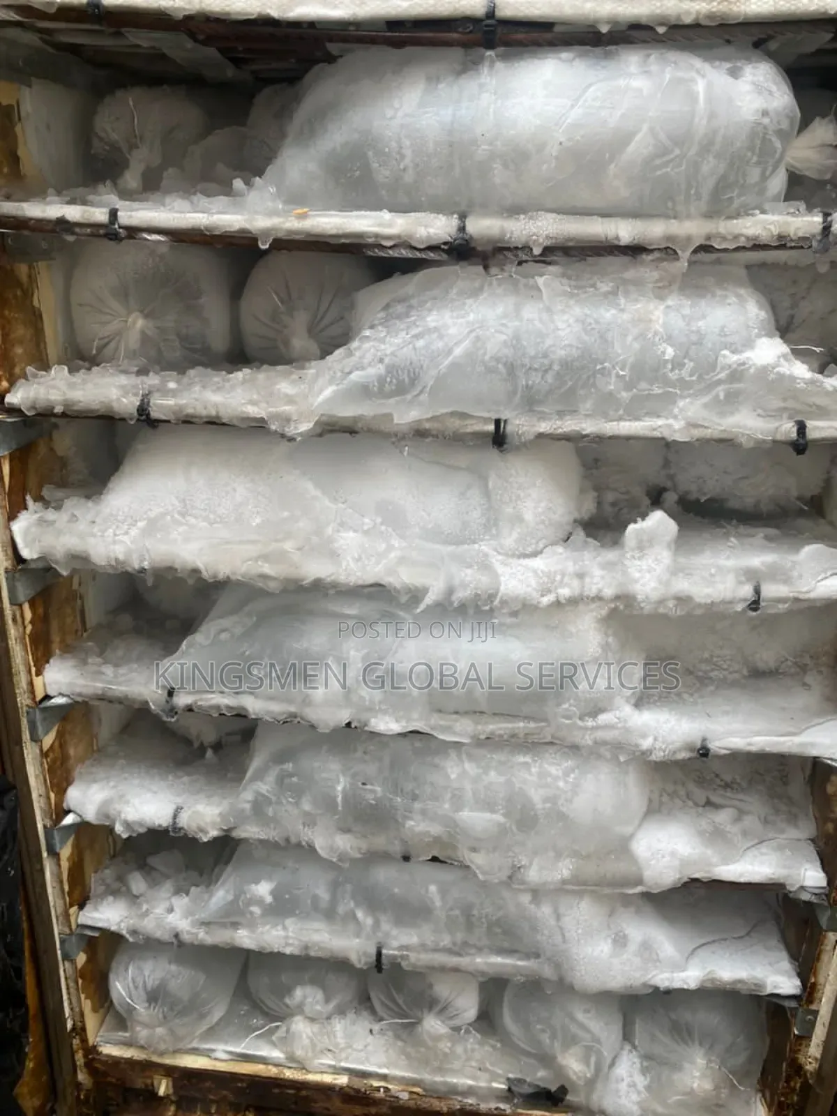 Mini Cold Room/Blast Freezer/Ice Block Machine