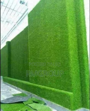 Carpet Grass