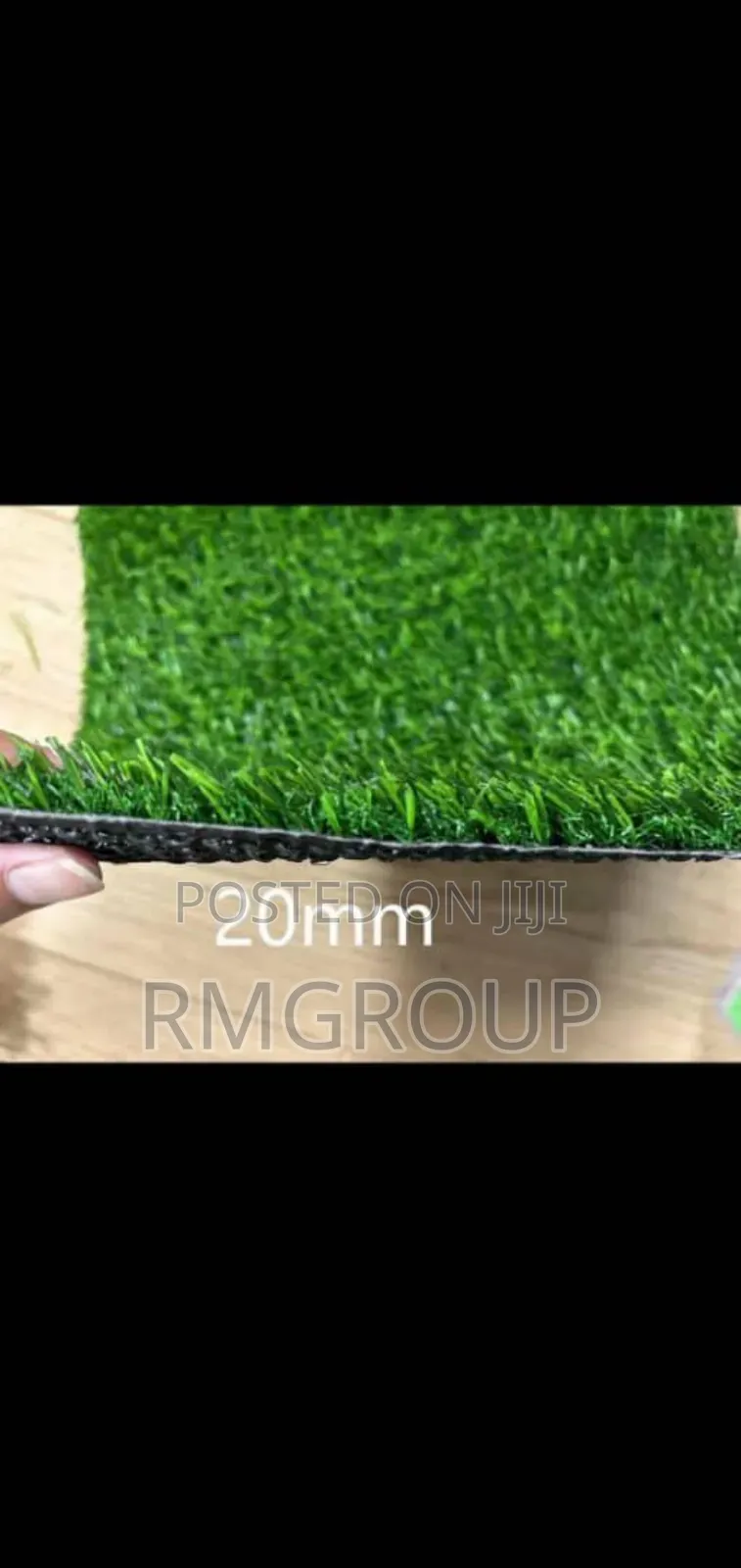 Carpet Grass