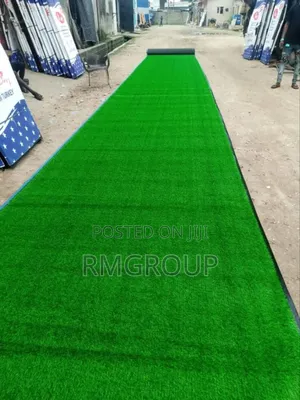 Carpet Grass