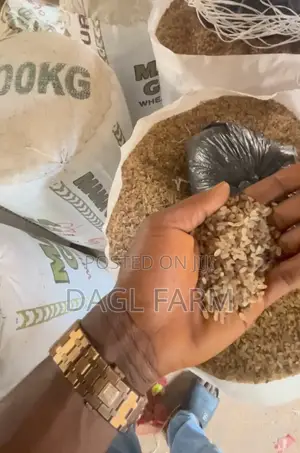 Destoned Ofada Rice