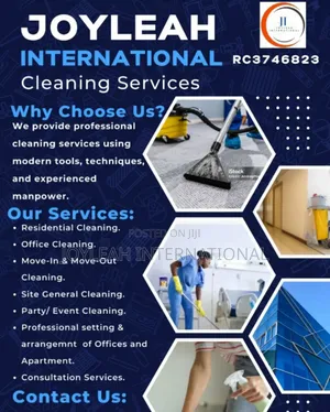Professional Cleaning Service