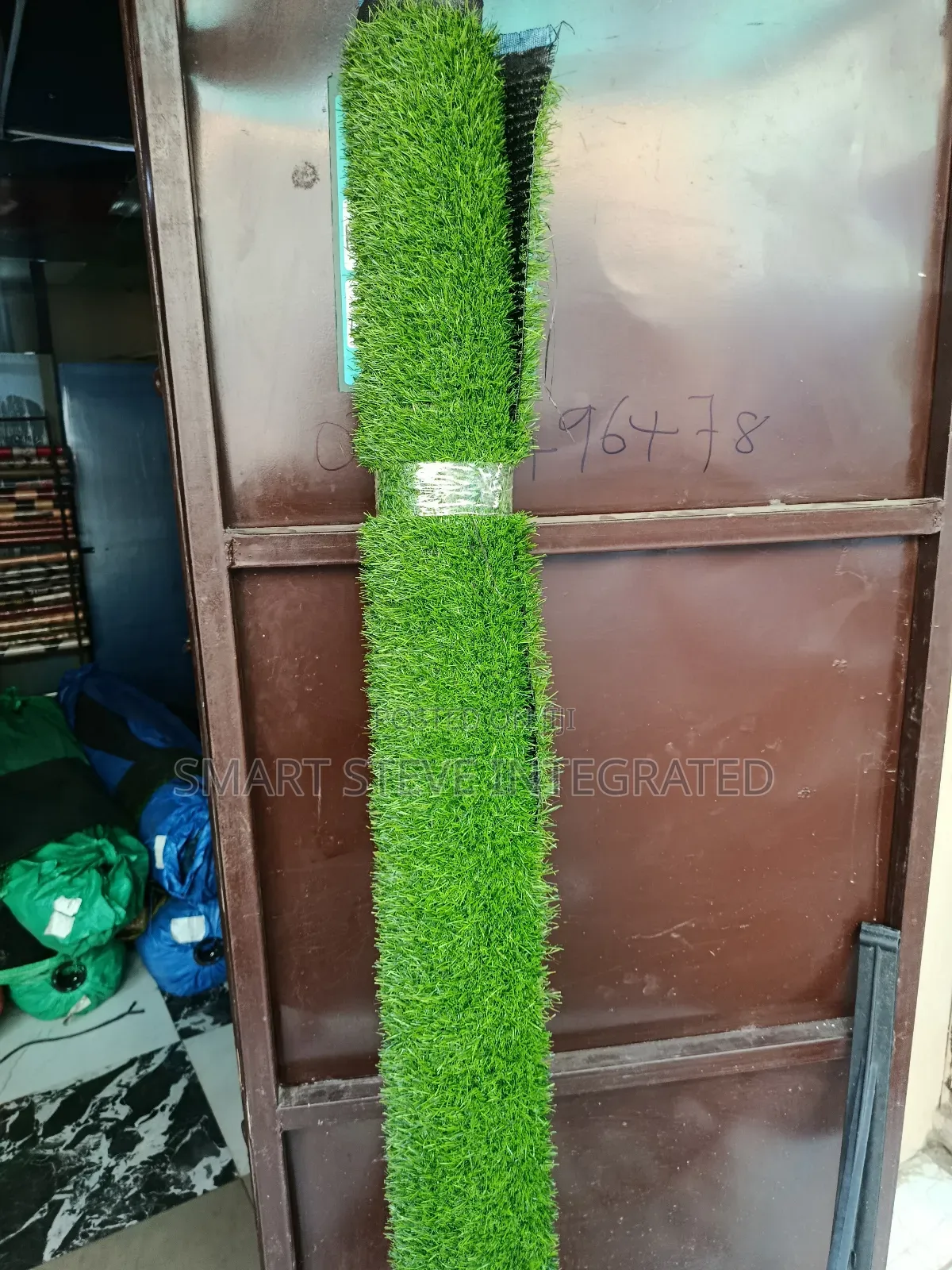 Carpet Grass