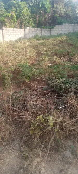 Genuine Land in Ushafa