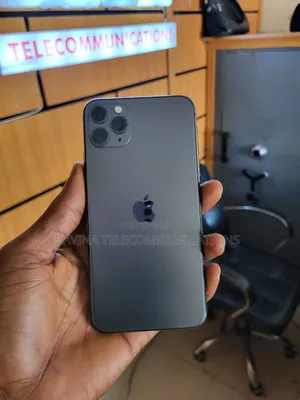 Apple iPhone 11 Pro Max 256 GB Gray