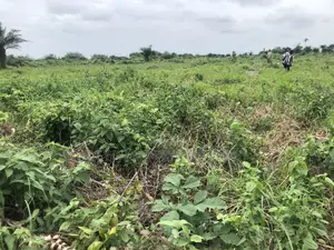 Land in Legacy Haven 2 Ogwashi Uku, Asaba