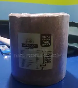 Salt Mineral Lick