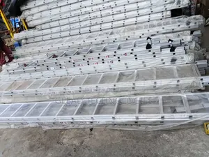 2 by 20 Aluminium Ladder