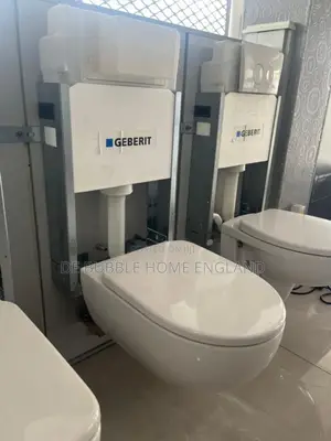 Geberit Concealed Water Closet