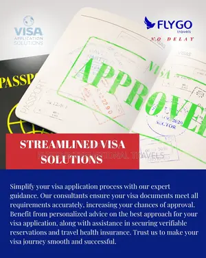 Professional Visa Application Help Schengen, Uk, Canada & More