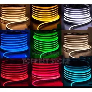 Original Neon Rop Light Carton
