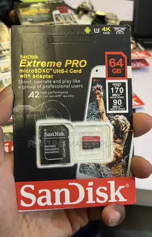 Scandisk Professional Memory Card