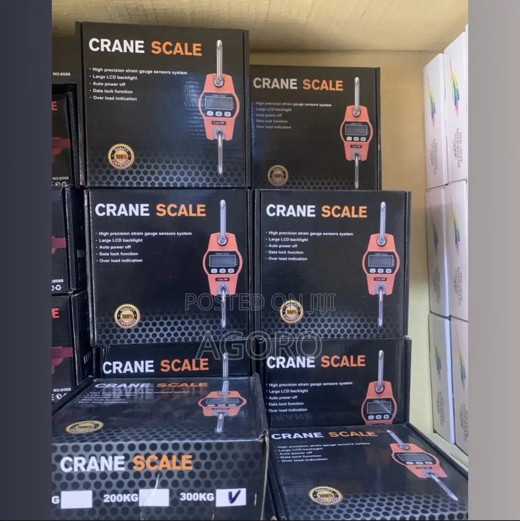 300kg Crane Scale