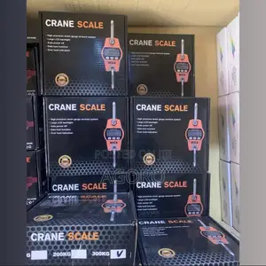 300kg Crane Scale