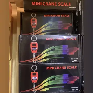 200kg Mini Crane Scale