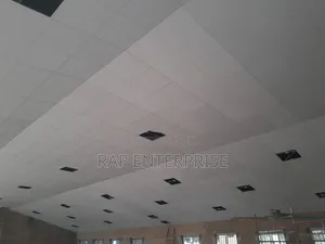 Guysum Ceiling Board Only