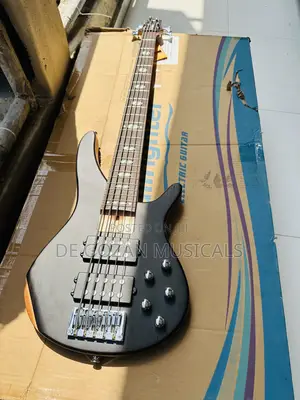 Professional Active Bass Guitar