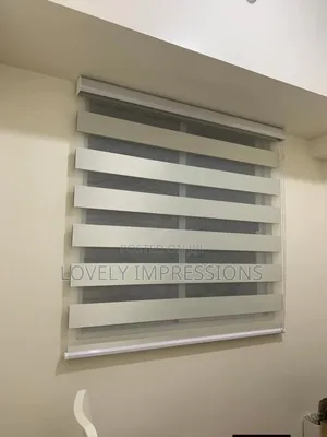 Lovely Day And Night Window Blinds