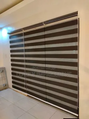 Remote Controlled Black Beauty Day and Night Window Blinds