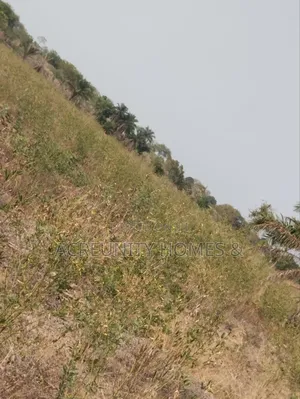 130 Acres of Land – Alobo Village, Along Iseyin–Ikere (George Dam Axis